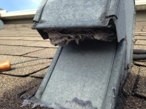 Roof cap transition. Lint has hardened due to moisture.
